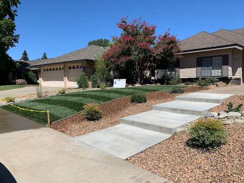 Beautiful front yard